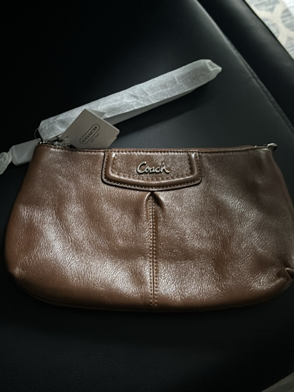 Coach Ashley Leather Large Wristlet F48103
